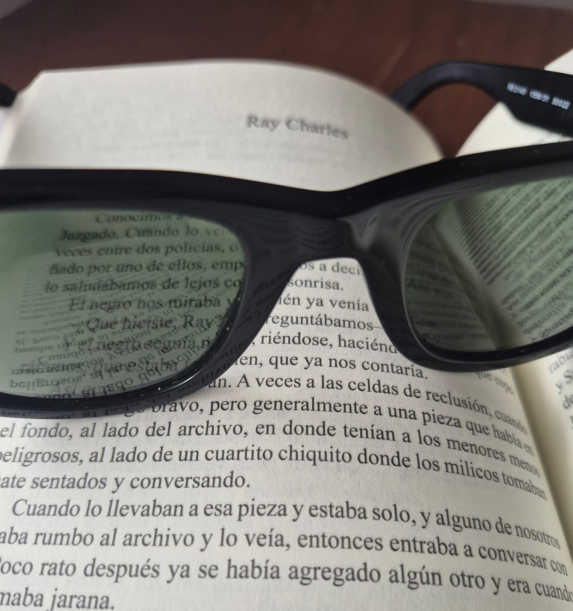 "Ray Charles" de Luis A. Fleitas Coya